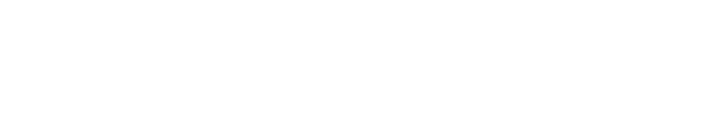 Dewesoft